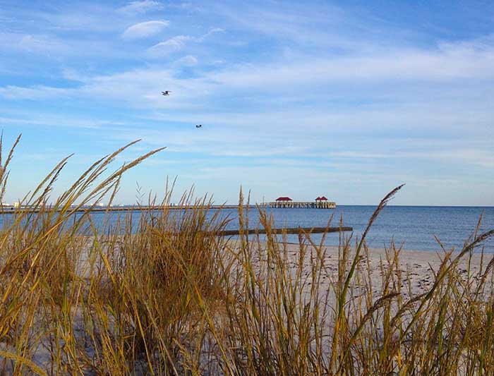 Charter a bus in Gulfport, MS